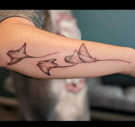 Trashy Tattoo Placement, Stink Ray Tattoo, Stingray Tattoo Back Of Arm, Cownose Sting Ray Tattoo, Stingray Arm Tattoo, 3 Stingray Tattoo, Stingray Leg Tattoo, Stingray Tattoo Thigh, Marine Life Spine Tattoo