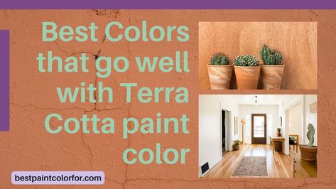 65 colors to pair with terra cotta (Best Collection!) Terra Cotta Decor, Terra Cotta Paint Color, Terra Cotta Floors, Paint Color Guide, Best White Paint, Best Paint Colors, Best Paint, Wall Paint Colors, Best Dining