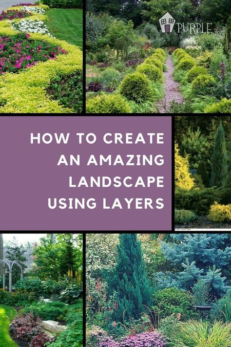 Landscape Layering, Large Backyard Landscaping, Walkway Landscaping, Purple Door, Easy Landscaping, Garden Shrubs, Garden Types, Landscaping Supplies, Front House Landscaping