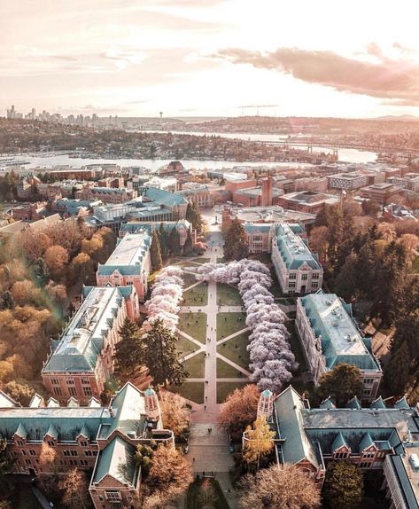 Seattle University Campus, University Of Washington Seattle Campus, University Of Washington Campus, Washington State University Aesthetic, Aesthetic College Campus, University Of Washington Seattle Aesthetic, University Architecture College Campus, Washington University Aesthetic, Udub Seattle