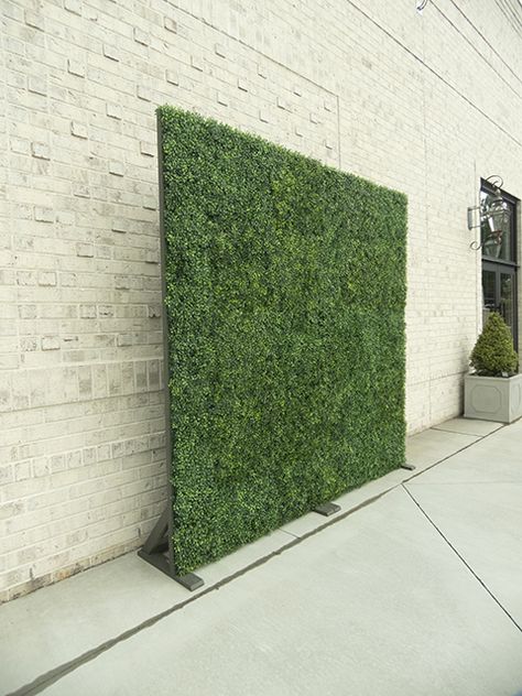 Fake Plant Backdrop, Photo Backdrop Business, Green Selfie Wall, Wedding Green Wall Backdrop, Diy Boxwood Wall Backdrop, Greenery Background Photo Backdrops, Backdrop Rental Business, Boxwood Photo Backdrop, Masculine Backdrop