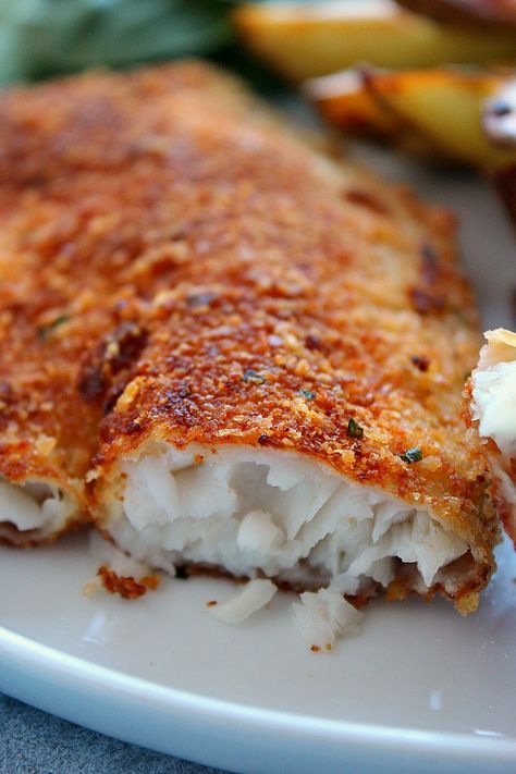 Fried Tilapia Recipes, Easy Tilapia, Breaded Tilapia, Tilapia Recipes Easy, Dinner Salmon, Salmon Recipes Pan Seared, Salmon Recipes Baked Healthy, Tilapia Recipe, Fish Recipes Baked