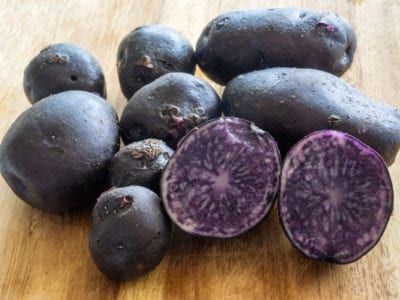 What Are Purple Potatoes – Learn About Purple And Blue Potato Benefits Grow Potatoes In Container, Benefits Of Potatoes, Container Potatoes, Seed Potatoes, Potato Gardening, Blue Potatoes, Potato Varieties, Planting Potatoes, Types Of Potatoes