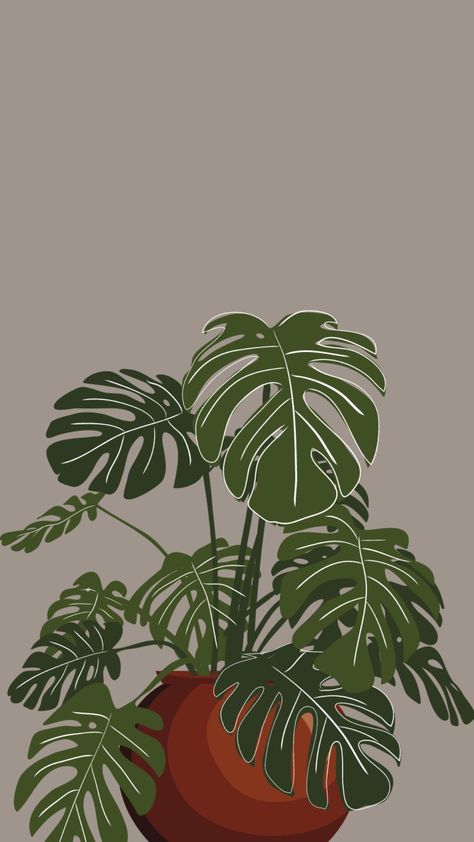 Plant Lockscreen, Kaktus Aesthetic, Monstera Wallpaper, Iphone Wallpaper Plants, Insta Wallpaper, Streetwear Wallpaper, Wallpaper Plant, Sweet Wallpaper, Wallpaper Minimal