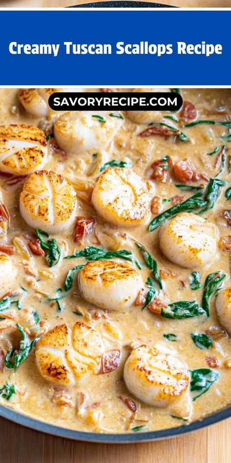 Need a quick and indulgent dinner idea? This Creamy Tuscan Scallops Recipe offers a delightful flavor experience that is both easy to prepare and impressive to serve. Remember to save this recipe to your Scallops Dinner Ideas for a gourmet meal anytime! Tuscan Butter Scallops, Creamy Tuscan Spaghetti With Scallops, Gourmet Seafood Dinner, Scallop And Spinach Recipes, Creamy Tuscan Garlic Scallops, Tuscan Scallops Recipe, Scallop Fettucini Recipes, Italian Scallops Recipe, Fancy Scallop Recipes