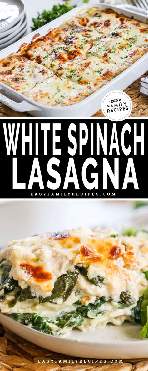 White Spinach Lasagna, Vegetable Lasagna With White Sauce, White Lasagna Recipe, Lasagna With Spinach, Spinach Casserole Recipes, Veggie Lasagna Recipe, Lasagna Recipe With Ricotta, Vegetarian Lasagna Recipe, Creamy White Sauce