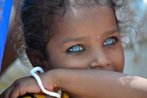 Indian/Aboriginal girl | beautiful people | Pinterest Have these eyes been photoshopped?? People With Blue Eyes, National Geographic Photo Contest, Honey Facial, Pale Blue Eyes, Behind Blue Eyes, Types Of Eyes, Workout Moves, Gorgeous Eyes, Medical Students