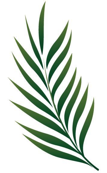 Stary Papier, Săpunuri Handmade, Palm Branch, Leaf Stencil, Leaf Clipart, Cool Pencil Drawings, Leaf Template, Leaf Drawing, 수채화 그림