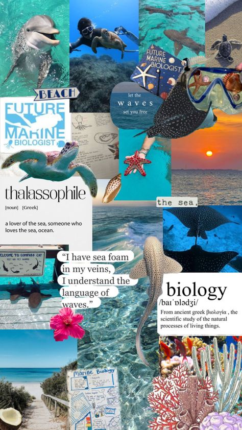 #biology #marinebiology #ocean #aesthetic #beach #oceanlife Summer Athstetic, Marine Biology Aesthetic, Biology Aesthetic, Oceanography Marine Biology, Summer Prints Wallpaper, Beachy Wallpaper, Beach Girl Aesthetic, Cute Summer Wallpapers, Summer Wallpapers