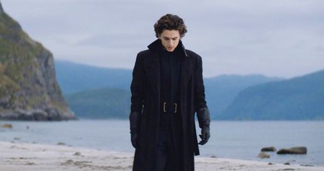 Timothee Chalamet Dune, Dune Aesthetic, Marvel Clothing, Dc Clothing, Winter Soldier Marvel, Professional Man, Iron Man Marvel, Stellan Skarsgård, Clothing Iron