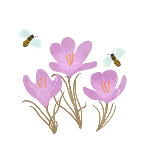 Lara Paulussen, Butterflies Gif, Gif For Discord, Ecosystem Services, Butterfly Gif, Eid Mubarak Banner, Gif Sticker, Bullet Journal Aesthetic, Instagram Website