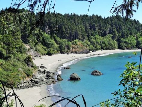 This Enchanting Forest Hike In Northern California Leads You To A Stunning Secret Beach Northern California Beaches, Forest Hike, Humboldt County California, Enchanting Forest, Humboldt County, What To Do Today, To Do Today, Secret Beach, Hotel Motel