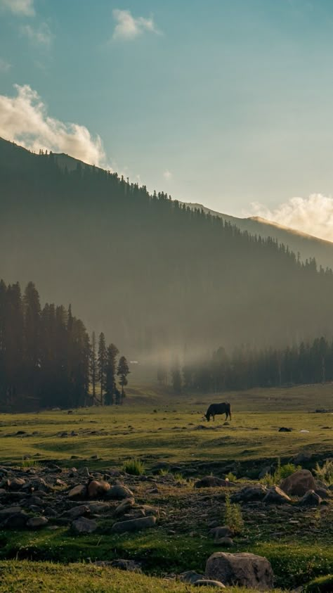 Mountains green horse trees India Journey Escape, Kashmir Trip, India Travel Places, Nature River, Travel Infographic, Jammu Kashmir, Kashmir India, Profile Pictures Instagram, Photo Beautiful