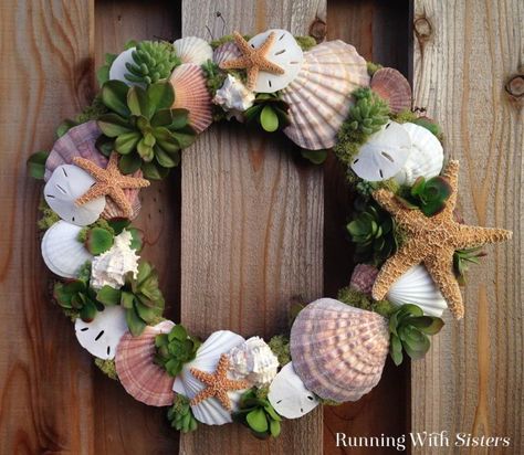 Succulents Wreath, Shell Wreaths, Succulent Wreath Diy, Beach Wreaths, Seashell Wreath, Shell Wreath, Seashell Projects, Sea Shell Art, Shell Ideas