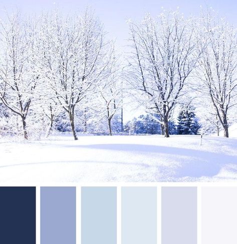 Finding Beauty in the Snow❄️☃️🌨  Living in Michigan, snow is an unavoidable part of our lives.  There is nothing more beautiful than branches covered in a fresh blanket of snow!  We love this color palette with the soft grays and blues in this winters landscape. Winter Color Inspiration, Color Pallet For Bedroom, Light Blue And White Color Palette, January Colour Palette, Light Blue Pallete, Icy Color Palette, January Palette, Ice Blue Color Palette, Blue Pallet Color