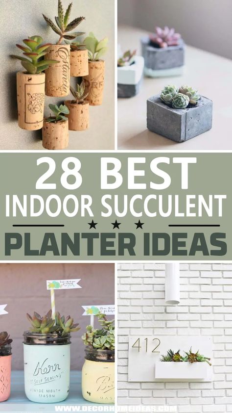 indoor succulent planter ideas Succulent Craft Ideas, Succulents In Pots Ideas, Mini Planter Ideas, Succulent Planter Ideas Indoor, Mini Succulent Pots, Succulent Crafts Diy, Creative Planter Ideas Indoor, Diy Succulent Planters Ideas, Succulent Pot Ideas Diy