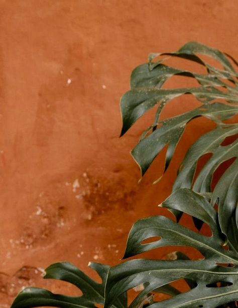 Burnt Orange And Green Aesthetic, Green And Orange Aesthetic, Orange And Green Aesthetic, Earth Tone Aesthetic, Earth Tones Aesthetic, 2025 Vibes, Tropical Retreat, 2025 Aesthetic, Restaurant Inspiration