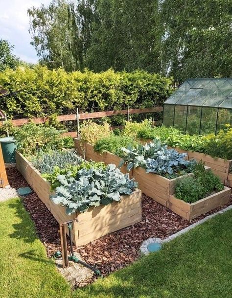 Potager Garden, Backyard Vegetable Gardens, Garden Design Layout, Gardening Vegetables, Veg Garden, Have Inspiration, Home Vegetable Garden, Vegetable Garden Design, Garden Layout