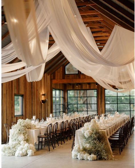 White Drapes Wedding, Cake Parfait, Wedding Drapery, Draping Wedding, Reception Bride, Indoor Wedding Receptions, January Wedding, Dream Wedding Decorations, Museum Wedding