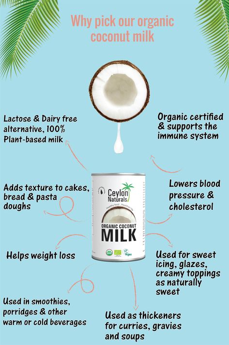 Organic coconut milk is widely used for its great health benefits as well as its many culinary uses. Health Benefits Of Coconut Milk, Coconut Milk Benefits Health, Coconut Lifestyle, Golden Milk Recipe Turmeric, Benefits Of Coconut Milk, Almond Milk Benefits, Coconut Milk Benefits, Best Coconut Milk, Low Cholesterol Diet Plan