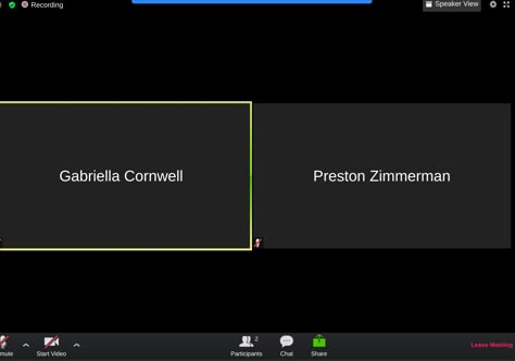 Zoom Meeting Template 2 People, Google Meet Template, Zoom Call Template, Template Zoom Meeting, Template Zoom, Spotify Template, Random Template, Fake Call, Material Icons