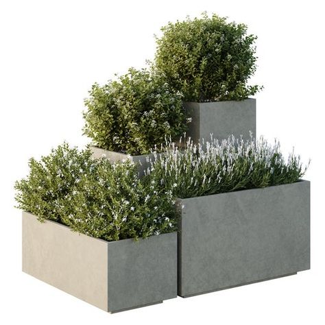 HQ Tree and bush garden box outdoor VOL 51 Egg Collective, Bush Garden, Florence Art, Vray Render, Stone Fountains, Material Library, Garden Boxes, Garden Landscape, 3ds Max