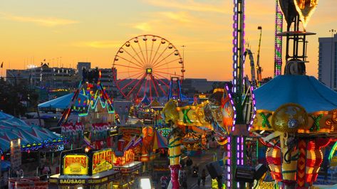 Exciting news! The Florida State Fair has some amazing new additions this year! #floridastatefair #floridastatefairgrounds Florida State Fair, Things To Do In Tampa, Livestock Barn, Sky Ride, Grove Park Inn, Iowa State Fair, Vintage Graphic Design, A Sky, Slip And Fall