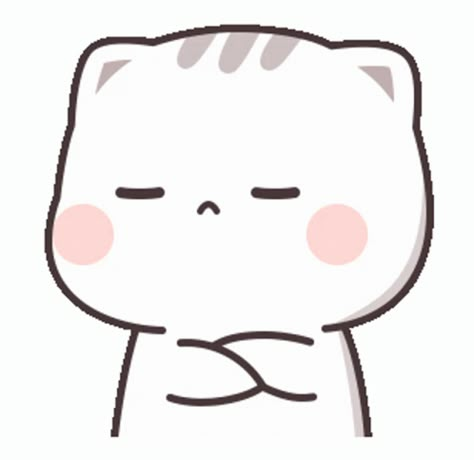 Unhappy Crossed GIF - Unhappy Crossed Arms - Discover & Share GIFs Cutie Cat-chan, Pixel Kawaii, Cat Animated, Crossed Arms, Milk And Mocha, Cutie Cat, Chibi Cat, Cute Bear Drawings, Cute Gifs