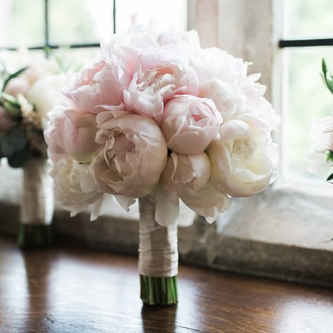 Tudor Rose Florist | Weddings Blush Pink Roses Bouquet, Peonies Bride Bouquet, Pink Peony Bridal Bouquet, Wedding Flowers Pink Peonies, White And Blush Wedding Flowers, Wedding Bouquets Peonies, Pink Peony Bouquet Wedding, Peonies Bridal Bouquet, Bridal Bouquet Peony