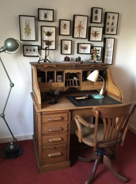 Rattan And Dark Wood, Vintage Study Room Aesthetic, Vintage Study Room, Vintage Writing Desk, Bg Design, Craft Room Office, Dream Room Inspiration, Vintage Desk, Room Inspiration Bedroom