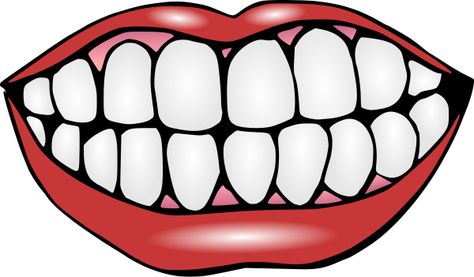 Mouth Clip Art Black And White | Clipart Panda - Free Clipart Images Tooth Template, Mouth Clipart, Teeth Clipart, Teeth Clip, Tooth Cartoon, Teeth Pictures, Health Images, Health Activities, Sikat Gigi