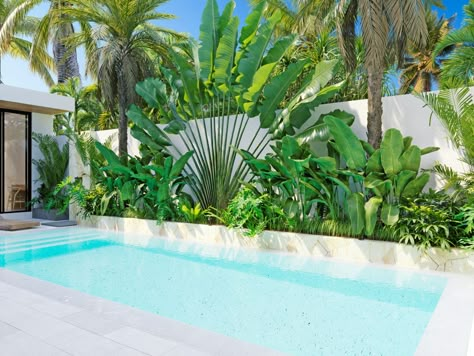 Tropical Pool Plants, Plants Around Pool, Tropical Pool Landscaping, Pool Plants, Outdoor Pool Area, Tropical Garden Design, Tropical Backyard, Pool Landscape Design, Small Pool Design