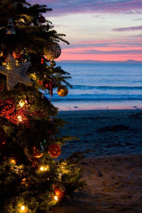 beachy christmas 3 by small-flaming-cjer on DeviantArt Things To Do In Florida, Creative Tattoo Ideas, Christmas Lights Background, Christmas Lights Wallpaper, Lights Wallpaper, California Christmas, Christmas In Australia, Aussie Christmas, Florida Christmas