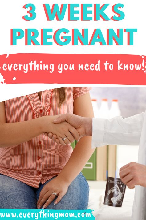 You are 3 weeks pregnant and perhaps you are finding out you are pregnant or looking for early pregnancy signs. We have everything you need to know right here! Three Weeks Pregnant, 3 Weeks Pregnant, 4 Weeks Pregnant, 11 Weeks Pregnant, 19 Weeks Pregnant, 10 Weeks Pregnant, 13 Weeks Pregnant, 5 Weeks Pregnant, 22 Weeks Pregnant