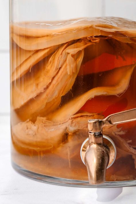 Kombucha Diy, Kombucha Aesthetic, Kombucha Vinegar, Brewing Kombucha, Kombucha Mother, Make Kombucha, Kombucha Starter, Kombucha Scoby, How To Brew Kombucha