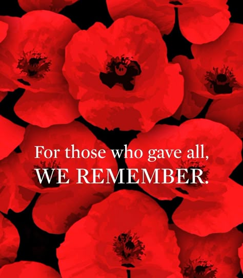 Poppy Pictures Remembrance, D Day Remembrance, Remembrance Day Screen Saver, We Will Remember Them, Remembrance Day Quotes Canada, Remembrance Day Wallpaper, Remembrance Day Images, Canada Day Images, Memorial Day Poppy