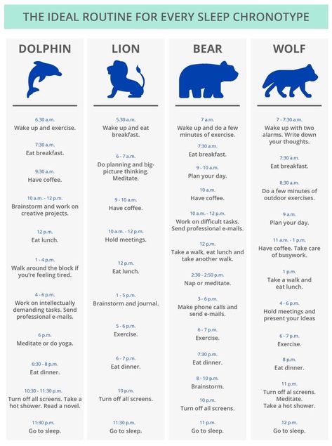 Types Of Naps, The Bear Chronotype, Bear Chronotype Schedule, Chronotype Workout, Wolf Chronotype Schedule, Chronotype Wolf, Lion Chronotype Schedule, What Is My Chronotype, Wolf Chronotype