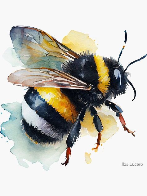 Bumblebee Clipart, Bumble Bee Clipart, Bumble Bee Art, Bee Artwork, Bee Drawing, Bee Clipart, Bee Painting, Cute Watercolor, 수채화 그림