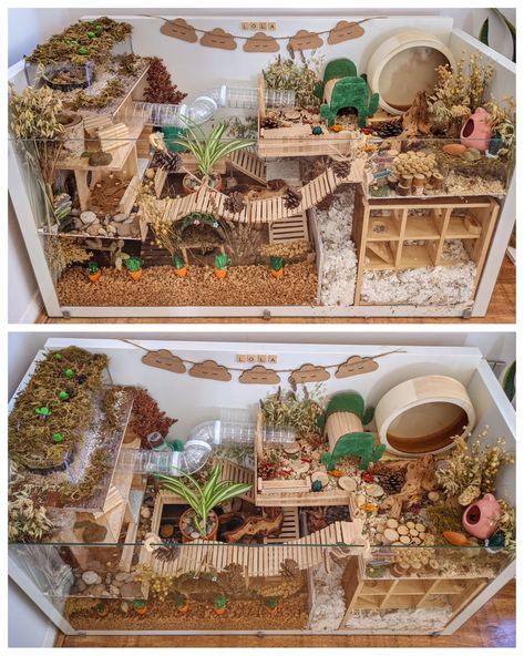 Fairy Garden Hamster Cage, Hamster Cage Ideas Diy Bin, Gerbil Cage Ideas, Natural Hamster Cage Ideas, Hamster Enclosure Ideas, Tartaruga Habitat, Diy Hamster House, Hamster Cage Ideas, Kandang Hamster