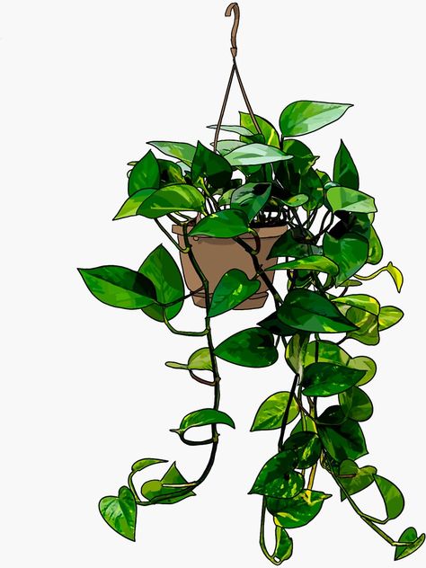 Hanging Pothos, Pothos Vine, Tire Garden, Plant Tattoo, Green Sticker, Pothos Plant, Plant Aesthetic, Plant Painting, Plant Drawing