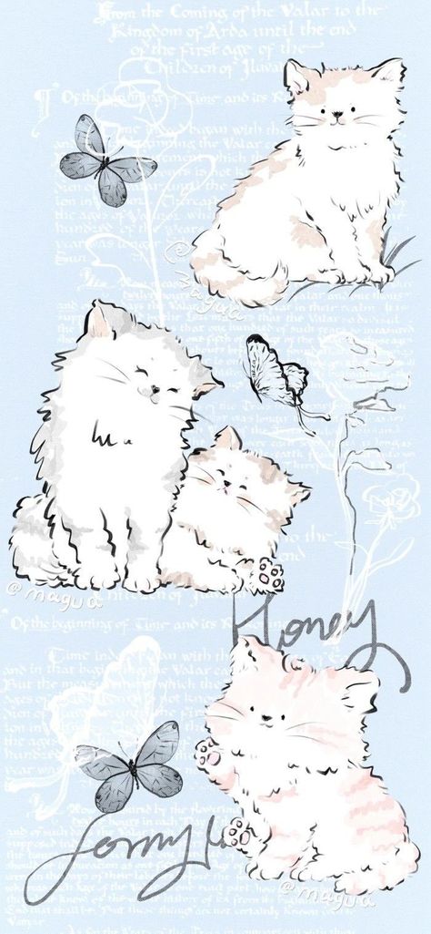 Funny Lock Screen Wallpaper, Cat Phone Wallpaper, Iphone Wallpaper Cat, Wallpaper Wa, Cute Blue Wallpaper, Graffiti Doodles, Aesthetic Wallpaper Iphone, Iphone Wallpaper Kawaii, Blue Wallpaper Iphone