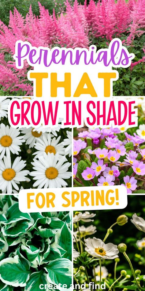 Collage of perennials that grow in shade for spring. Shade Perennial Garden, Perennials For Shade, Best Perennials For Shade, Perennial Garden Plans, Garden Flowers Perennials, Shade Loving Perennials, Shade Garden Plants, Garden Flower Beds, Best Perennials