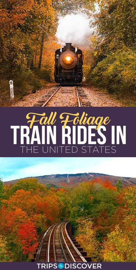 Train Travel Usa, Train Trips, Scenic Train Rides, Road Trip Places, Fall Vacations, Road Trip Destinations, Us Travel Destinations, Train Ride, Destination Voyage