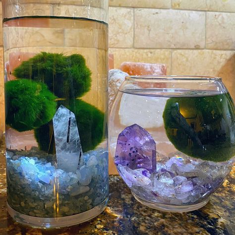 Crystals Terrarium, Alien Terrarium, Moss Balls Aquarium, Moss Ball Aquarium Ideas, Crystal Fish Tank Decor, Moss Ball Terrarium, Terrarium Crystal, Crystals In Aquarium, Crystals In Fish Tank