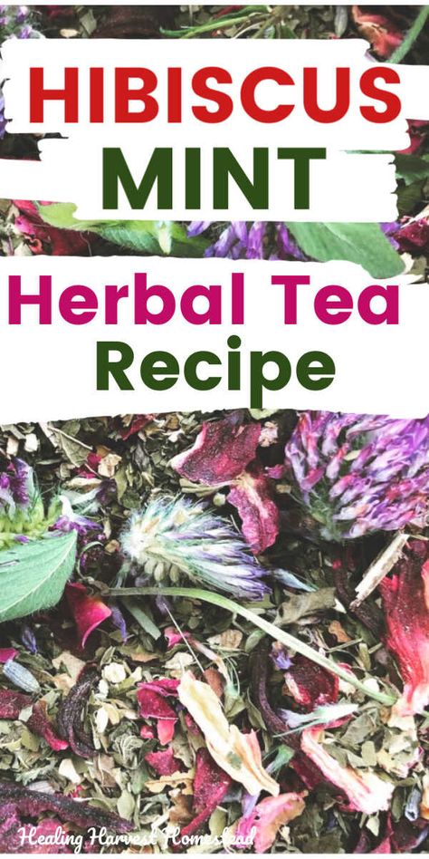 Summer Herbal Tea, Homemade Teas, Herbal Tea Recipes Homemade, Tea Recipes Homemade, Mint Tea Recipe, African Herbs, Tea Blends Recipes, Herbal Tea Recipes, Recipe For Summer