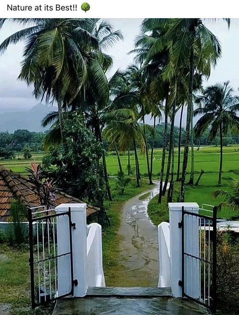 Kerala Village Photos, Kerala Village Photography, Indian Village Aesthetic, South Indian Village, Kerala Village, Kerala Aesthetic, Zindagi Na Milegi Dobara, Architecture Video, Ancient Background