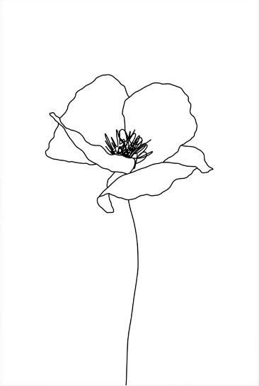 Magnolia Line Drawing Tattoo, Poppies Line Art, Poppie Flower Drawing, Line Art Poppy Flower, Poppies Drawing Simple, One Line Poppy Drawing, Poppy Line Drawing Tattoo Ideas, Poppy Fine Line Drawing, Flower Drawing Poppy