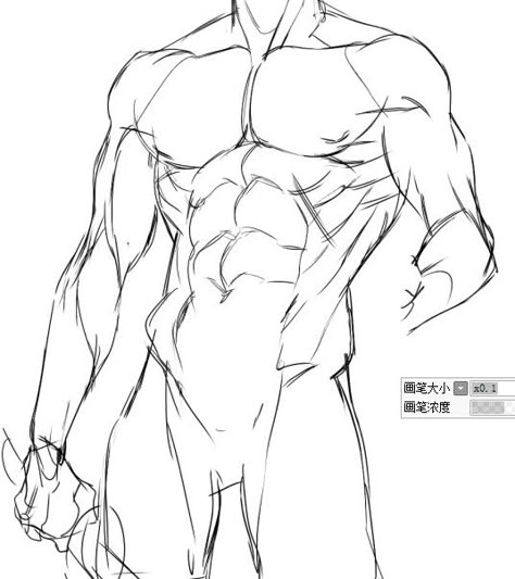 남성 근육, Male Body Drawing, Male Art Reference, Man Anatomy, Male Pose Reference, Anatomy Tutorial, Body Sketches, Human Anatomy Drawing, Human Anatomy Art