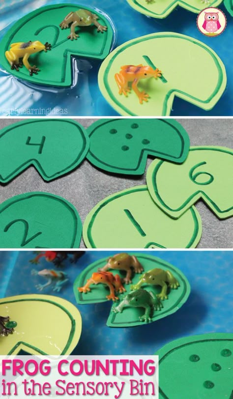 Frog counting activity- Make numbered lily pads and use them, along with small toy frogs, in a sensory bin, water table, or large container filled with water. The article includes directions for making the lily pads. a printable pattern that you can download, and several frog themed math activities that are appropriate for preschool, pre-k, kindergarten, prep, aged children. Pond Life Theme, Frog Activities, Kindergarten Prep, Counting Activity, Frog Theme, Toys By Age, Spring Preschool, Pond Life, Sensory Table