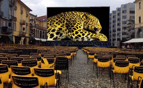 Locarno Film Festival - Piazza Grande Locarno Switzerland, Locarno Film Festival, Europe Switzerland, 1st August, Isabelle Adjani, Switzerland Travel, Innsbruck, Video Maker, Film Director